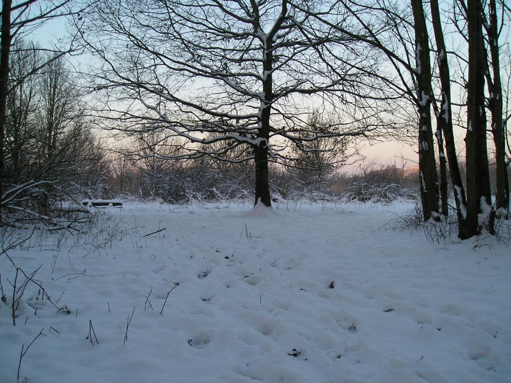 Sneeuwwandeling Oude Landen (Jan 2013)